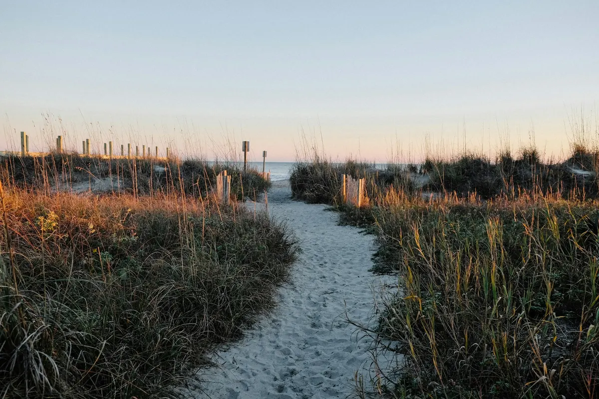A sandy path through dune grass to the beach near Charleston at dusk